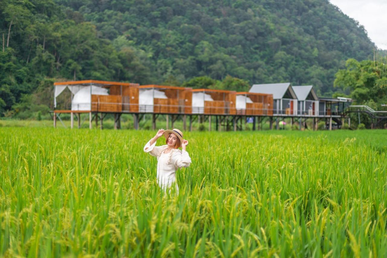 เนเจอร์วัลเล่ย์แคมป์ ปางมะผ้า Hotel Bagian luar foto