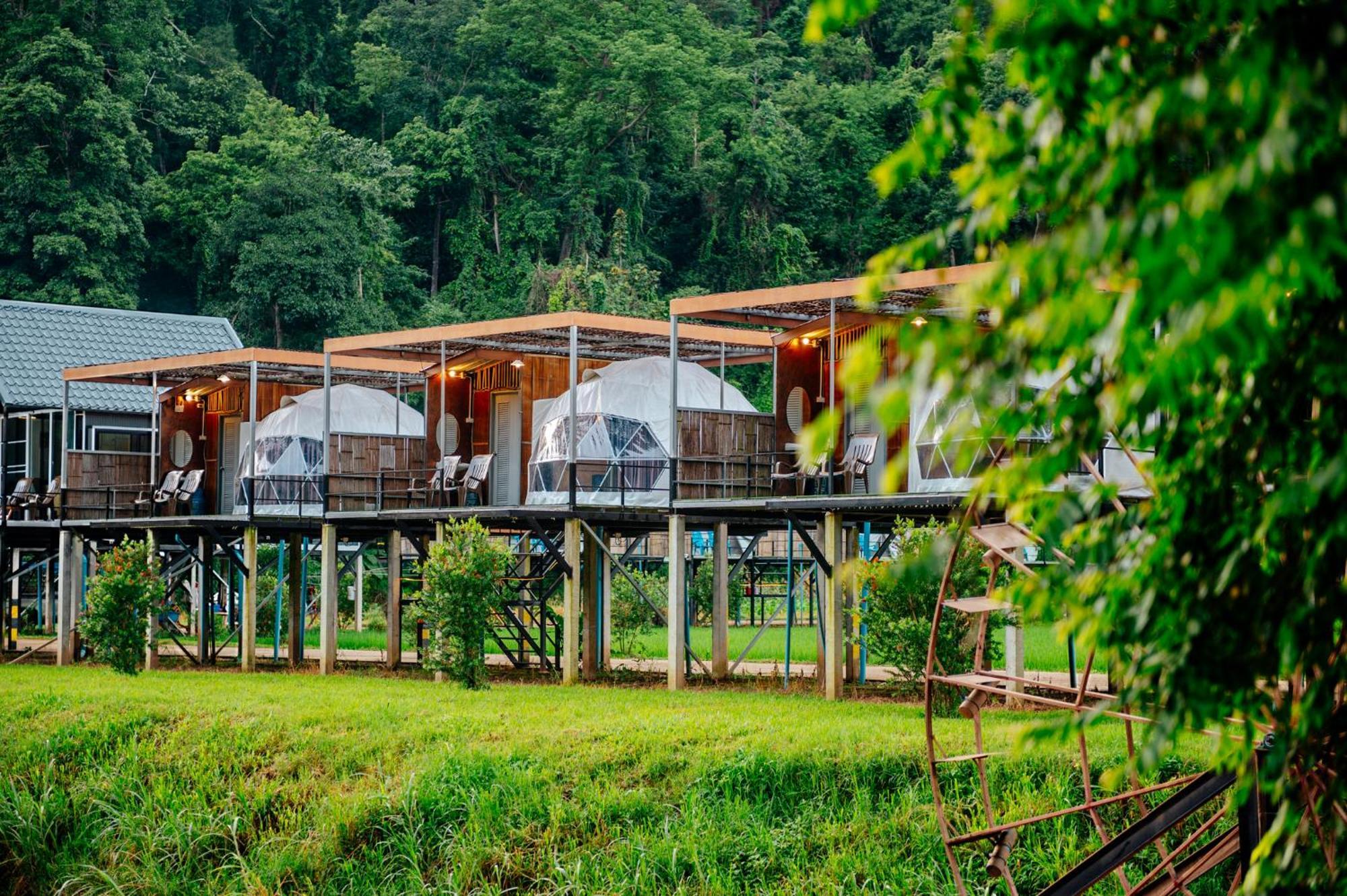 เนเจอร์วัลเล่ย์แคมป์ ปางมะผ้า Hotel Bagian luar foto